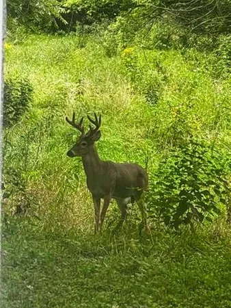 $175,000 | 710 Short Street, Streator, IL 61364