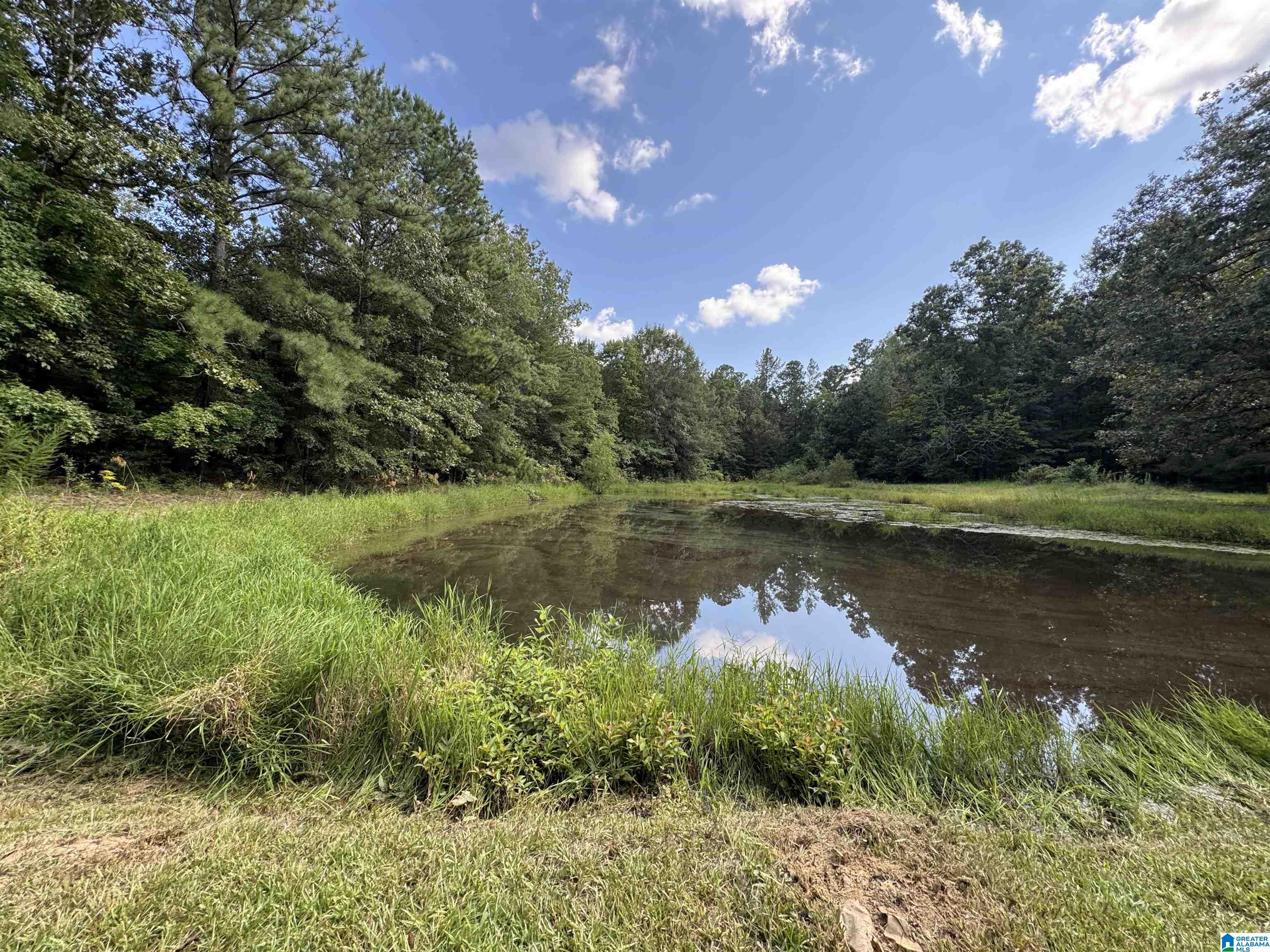 20394 County Road 55 Sterrett, AL 35147 - Photo 33 of 43