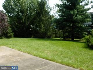 236 Peel Road Langhorne, PA 19047 - Photo 4 of 6 Gallery Image 4