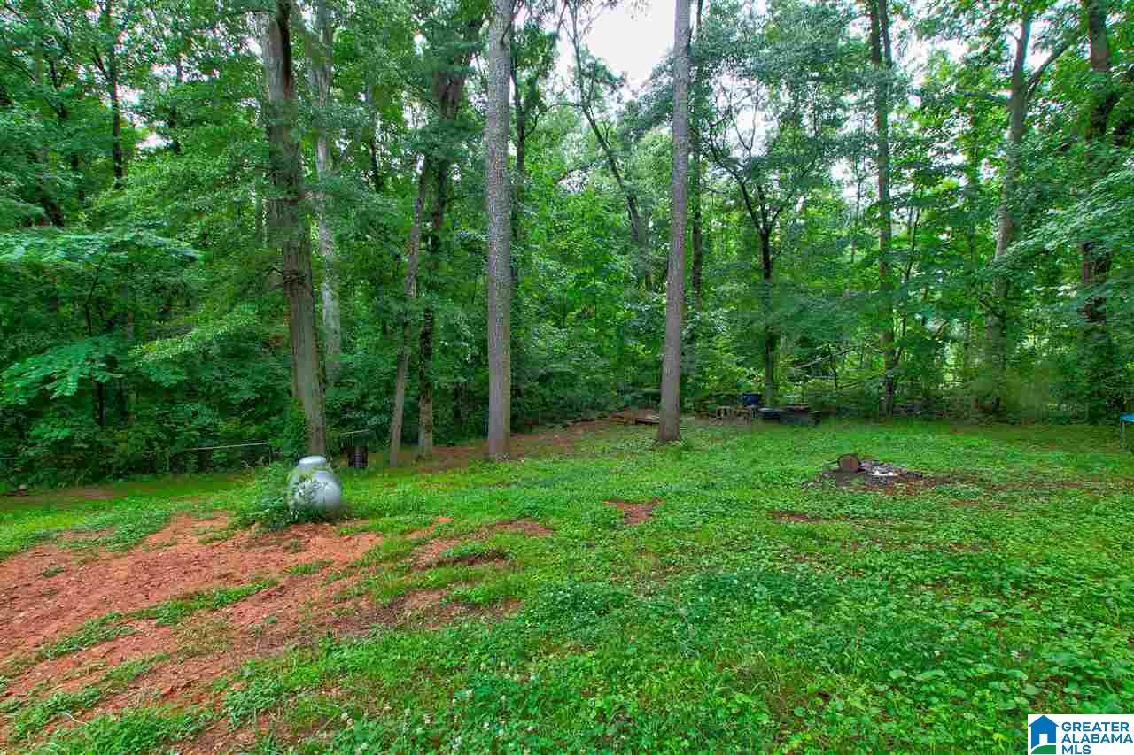 230 Valley Circle Pinson, AL 35126 - Photo 22 of 32