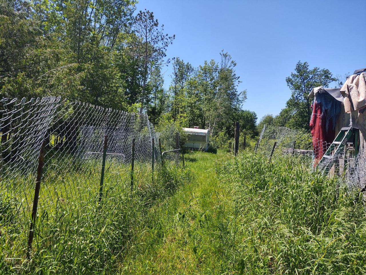 39534 Dyrness Road High Bridge, WI 54846 - Photo 13 of 13 Gallery Image 13