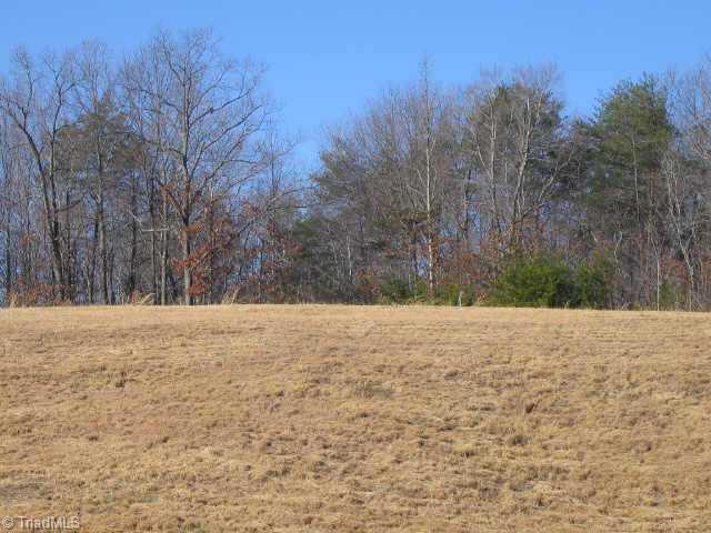 0 Planters Road Madison, NC 27025 - Photo 3 of 4 Other.