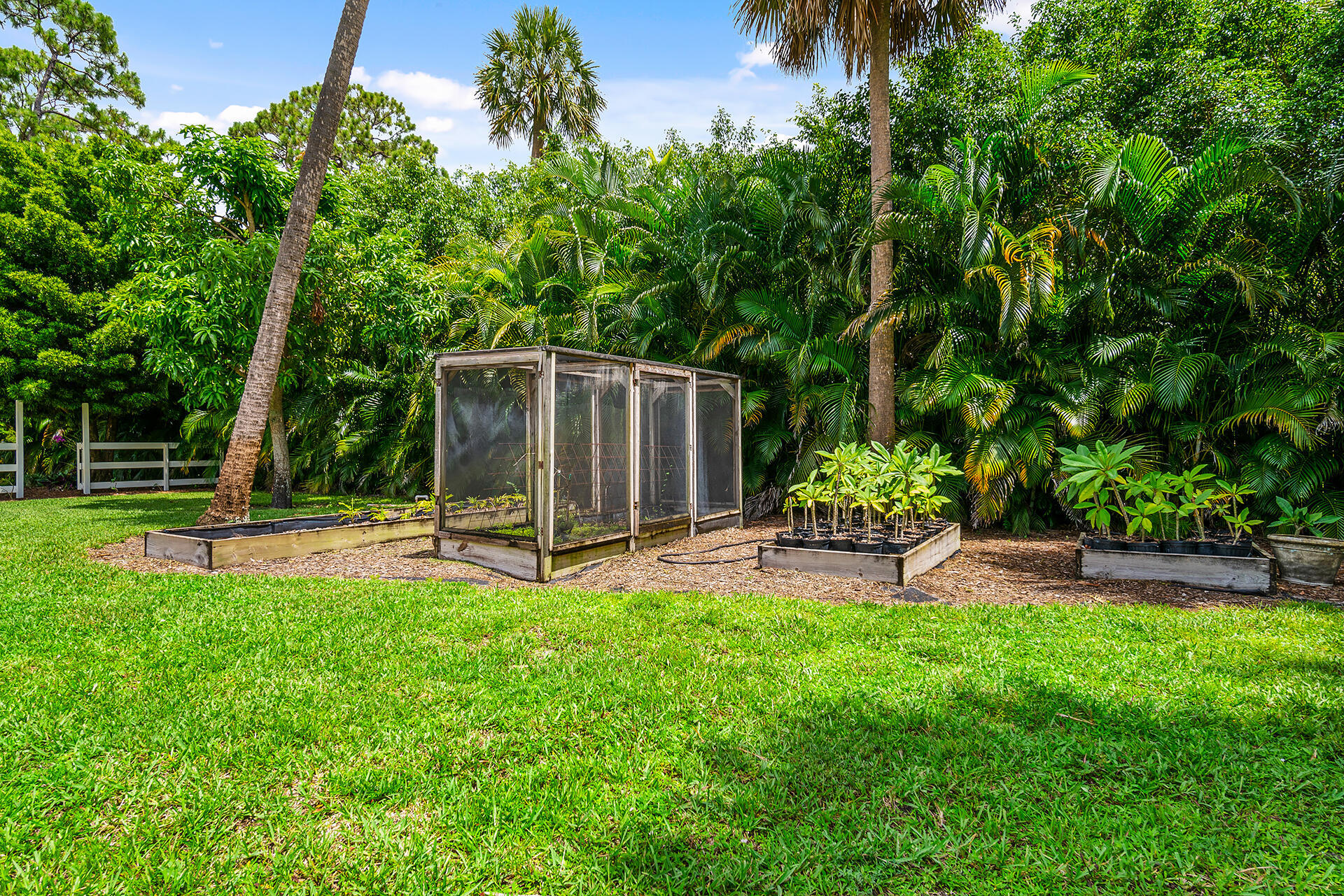 6624 Dillman Road Greenacres, FL 33413 - Photo 62 of 77 Garden