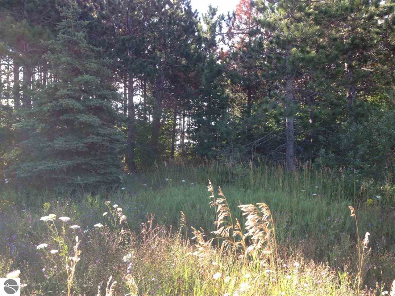 _ Vance Road Traverse City, MI 49685 - Photo 5 of 8