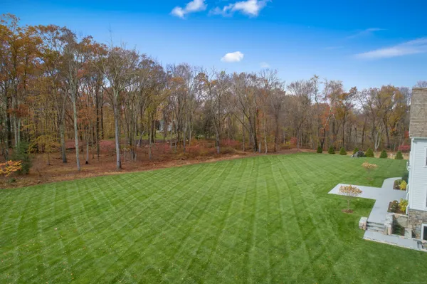 a view of a park with large trees