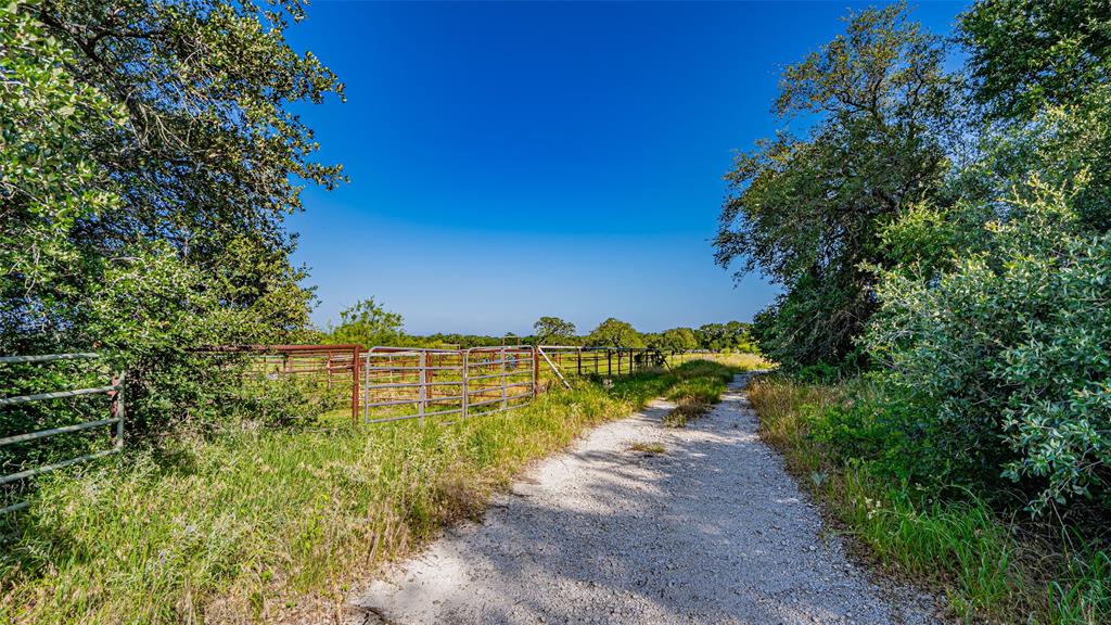 7601 Panther Branch Road Tolar, TX 76476 - Photo 11 of 26 a view of a pathway both side of garden