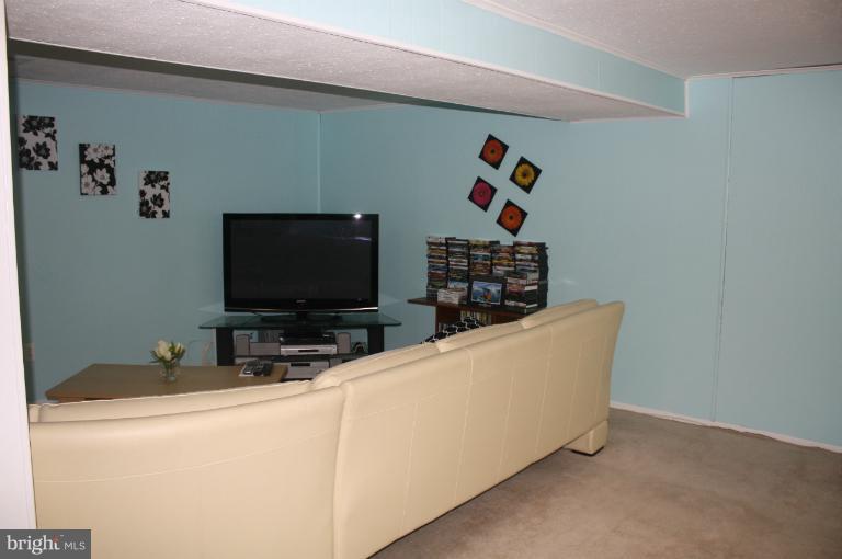 3209 Kayson Street Silver Spring, MD 20906 - Photo 7 of 18 Basement