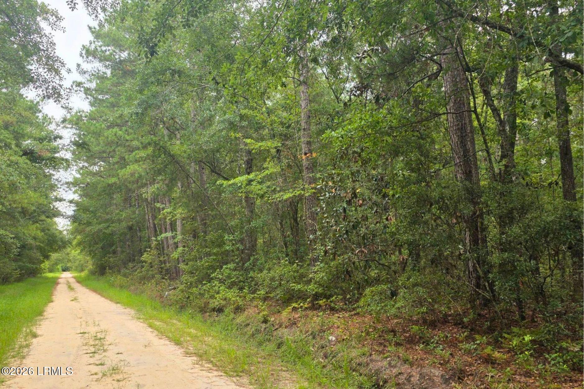 0 Wade Hampton Road Hampton, SC 29924 - Photo 1 of 16 1