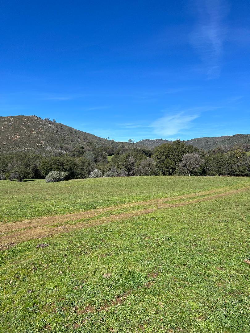1900 Heiser Canyon Road Angels Camp, CA 95222 - Photo 3 of 7