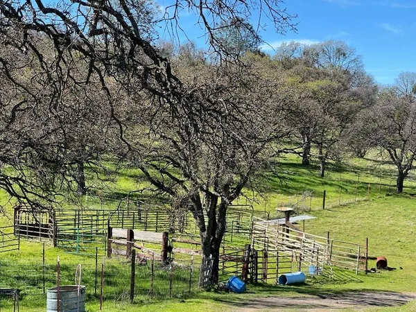 a view of a big yard with an trees