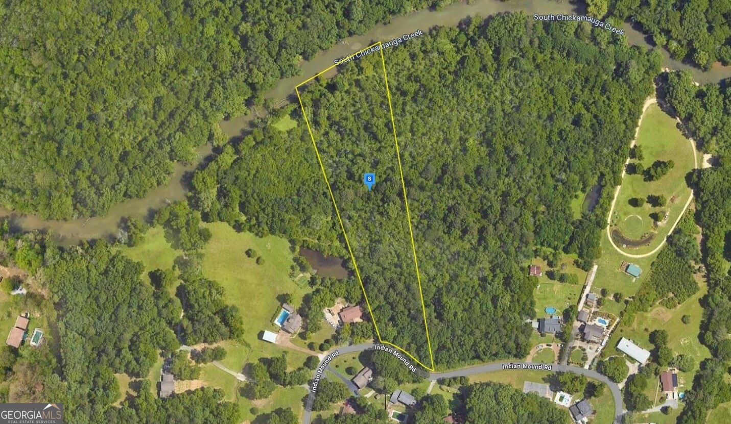 a view of a garden with plants