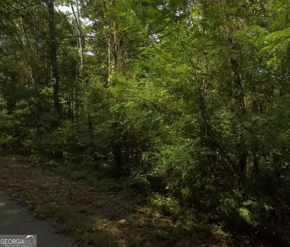 420 Indian Mound Road Ringgold, GA 30736 - Photo 2 of 6 a view of a forest with a tree