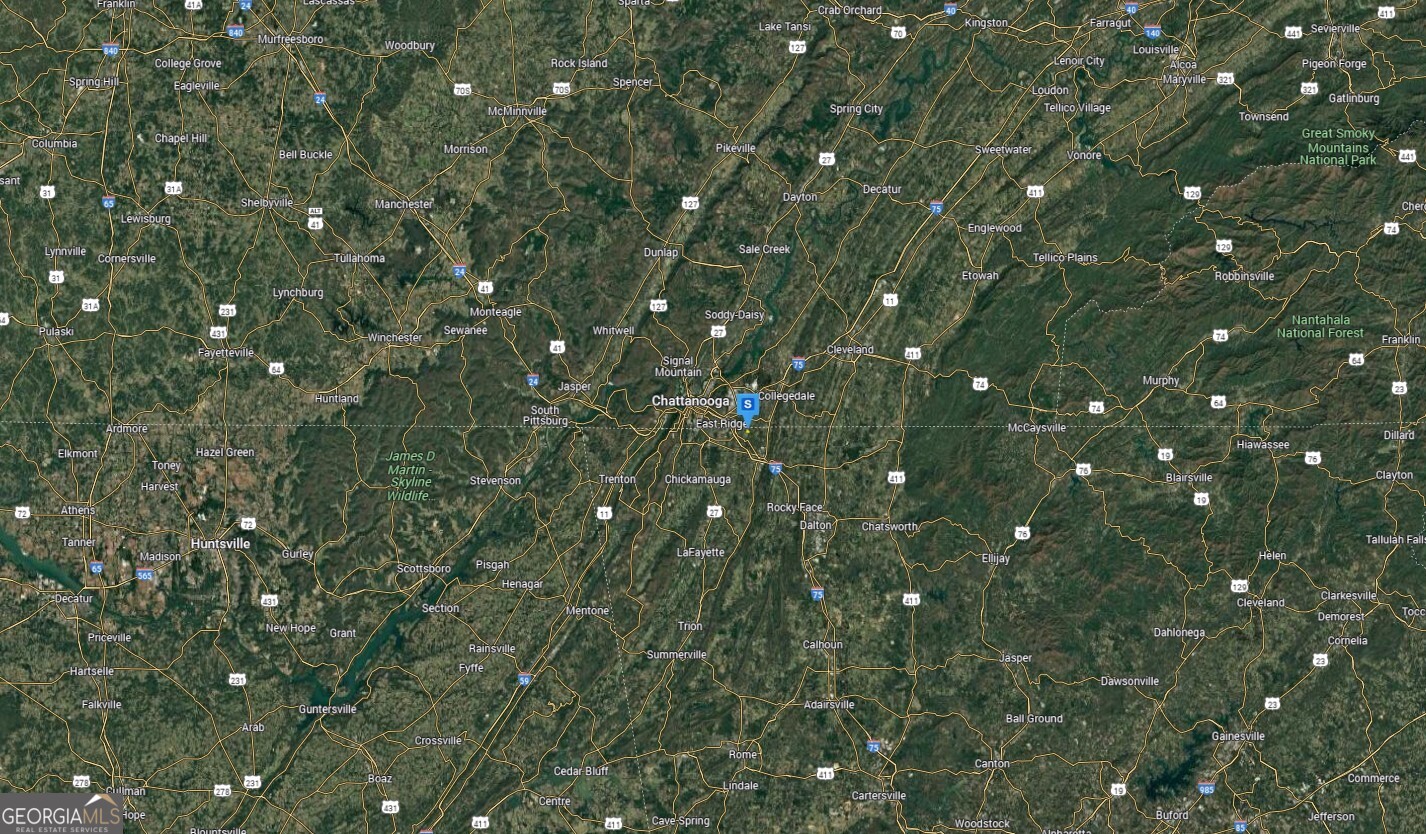 420 Indian Mound Road Ringgold, GA 30736 - Photo 6 of 6 a close up of a tree