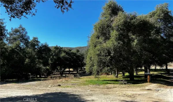 a view of a yard with a slide