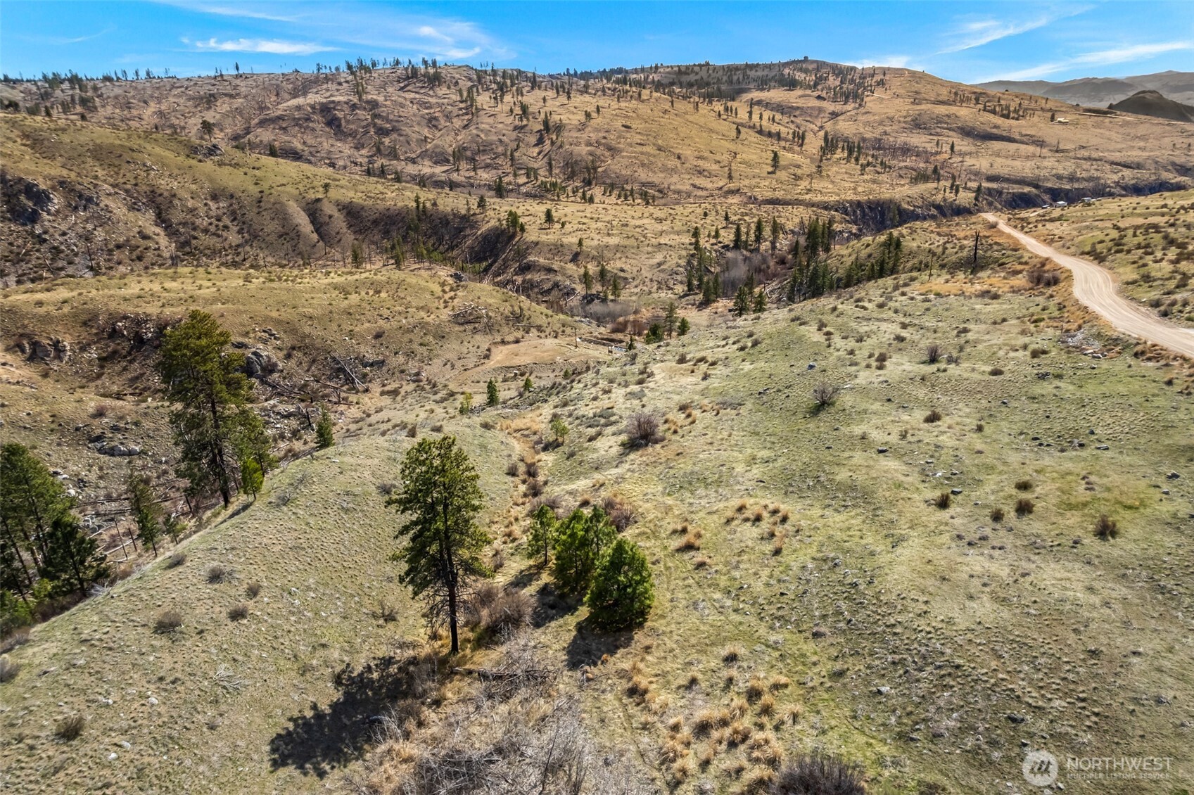 576 Indian Dan Canyon Road Brewster, WA 98812 - Photo 11 of 18 a view of a dry yard with mountains in the background