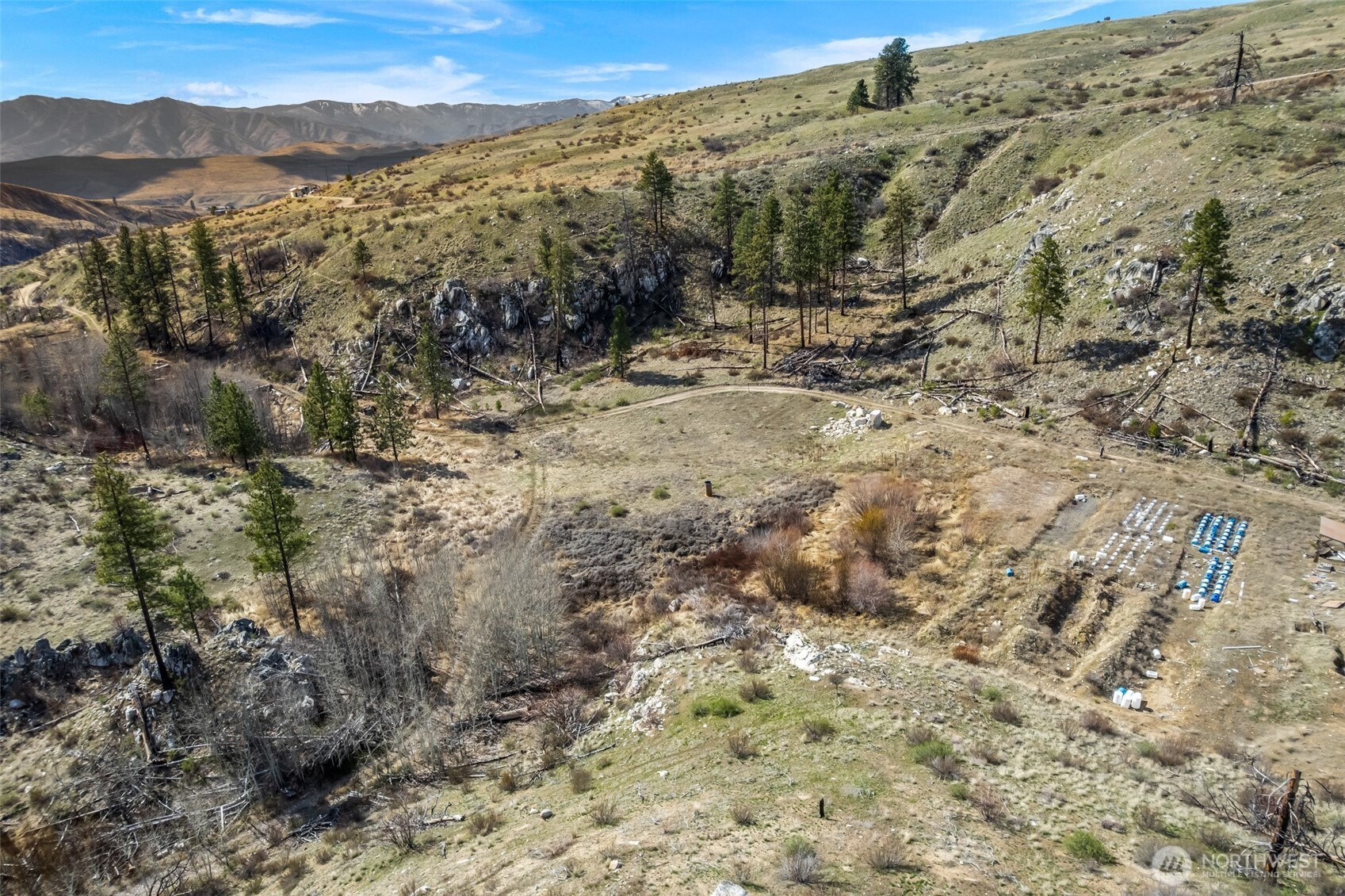 576 Indian Dan Canyon Road Brewster, WA 98812 - Photo 16 of 18 a view of a forest with a mountain