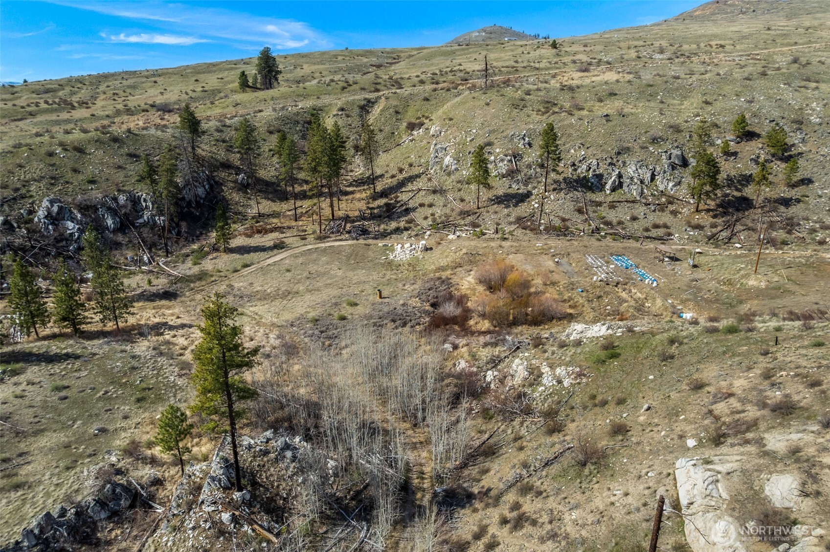 576 Indian Dan Canyon Road Brewster, WA 98812 - Photo 17 of 18 a view of a forest with a mountain view