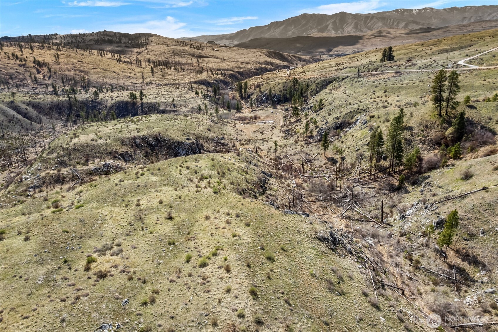 576 Indian Dan Canyon Road Brewster, WA 98812 - Photo 8 of 18 a view of a dry yard with mountains in the background