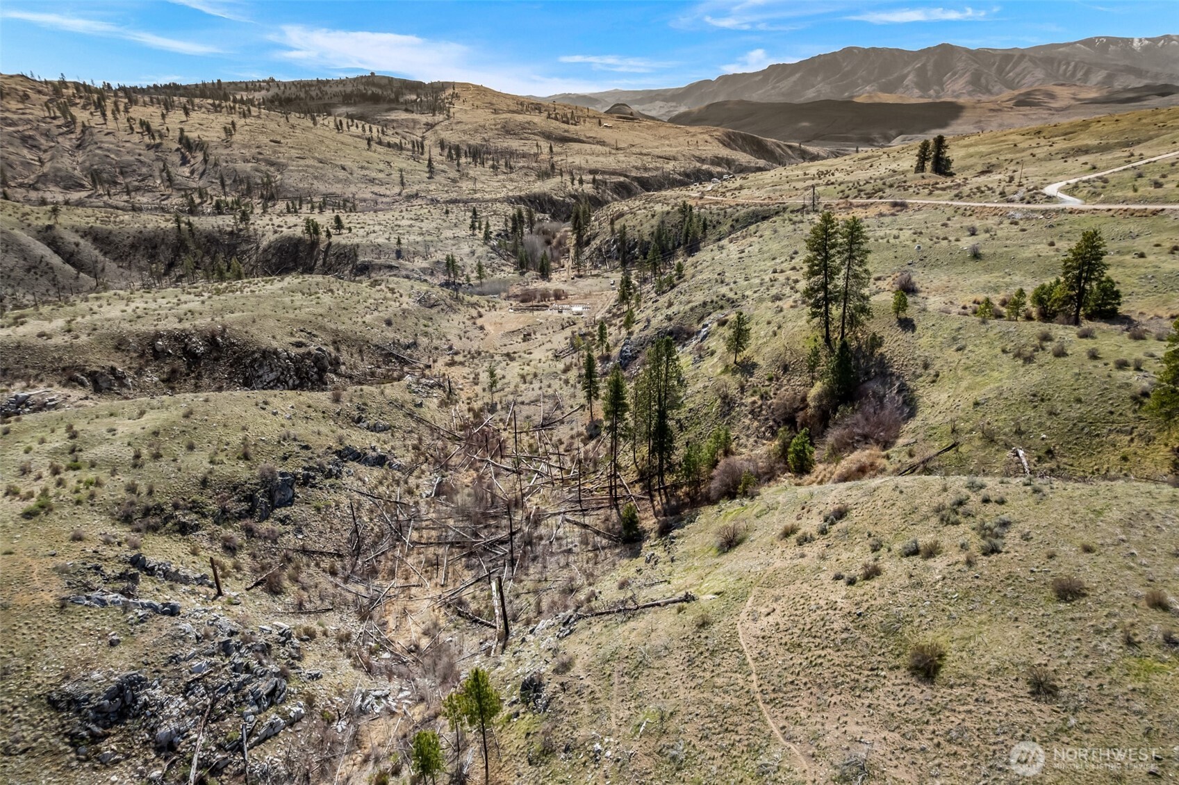 576 Indian Dan Canyon Road Brewster, WA 98812 - Photo 9 of 18 a view of a dry yard with mountains in the background