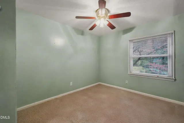 a view of a potted plant