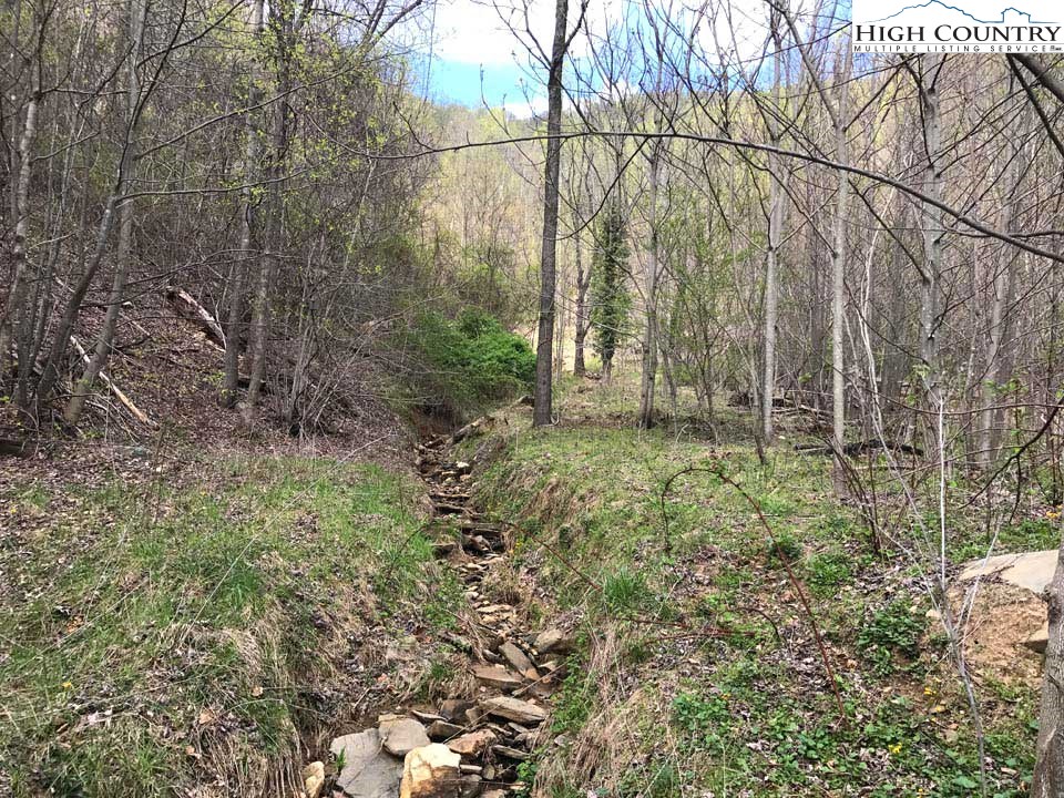 0 Rabbit Run Glade Valley, NC 28627 - Photo 3 of 6 Gallery Image 3