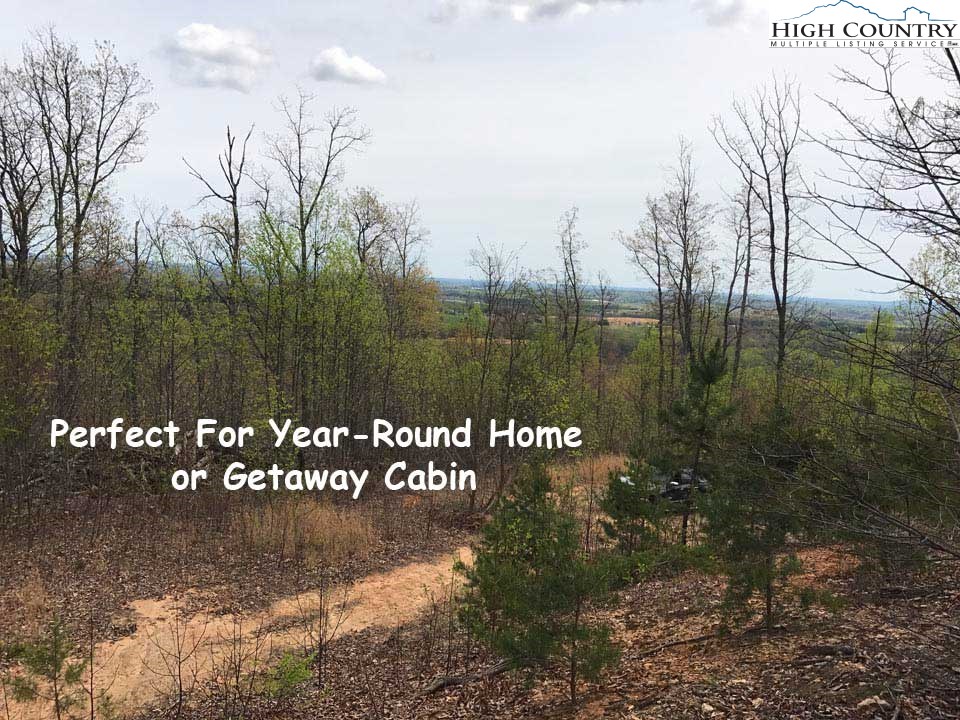 0 Rabbit Run Glade Valley, NC 28627 - Photo 4 of 6 Gallery Image 4