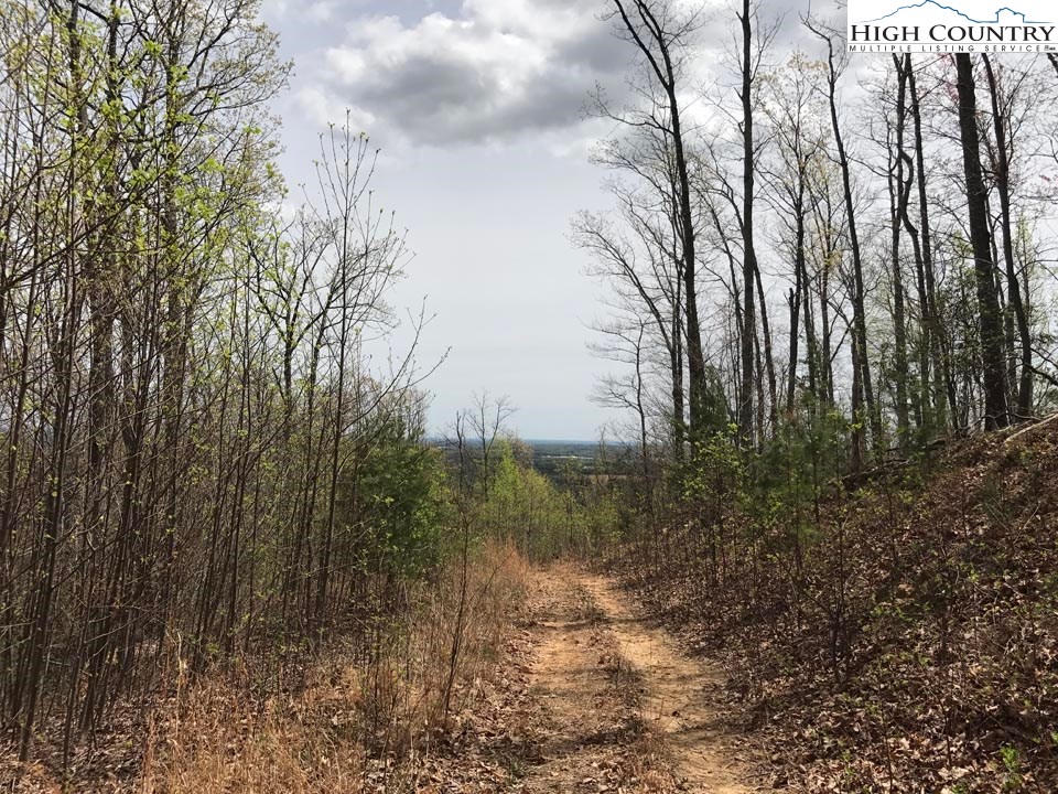 0 Rabbit Run Glade Valley, NC 28627 - Photo 6 of 6 Gallery Image 6