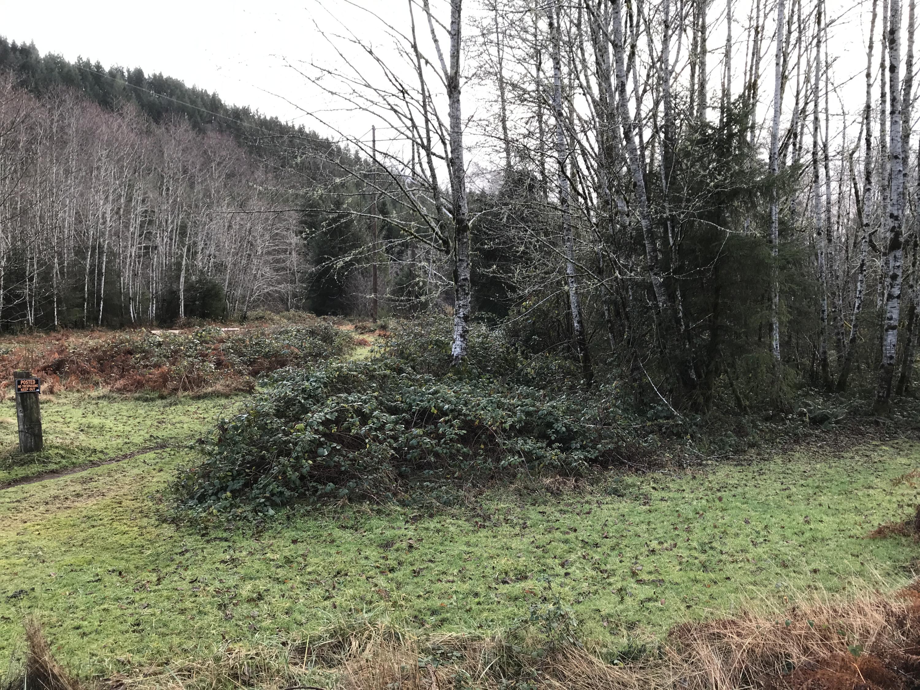 V/l Miami Foley Road Nehalem, OR 97131 - Photo 15 of 21 Lot
