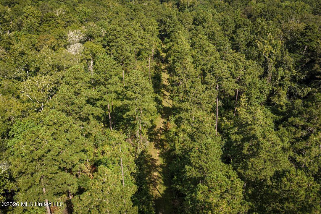 Xxxx Hamp Lea Road Magnolia, MS 39652 - Photo 16 of 48 DJI_20260811095203_0271_D