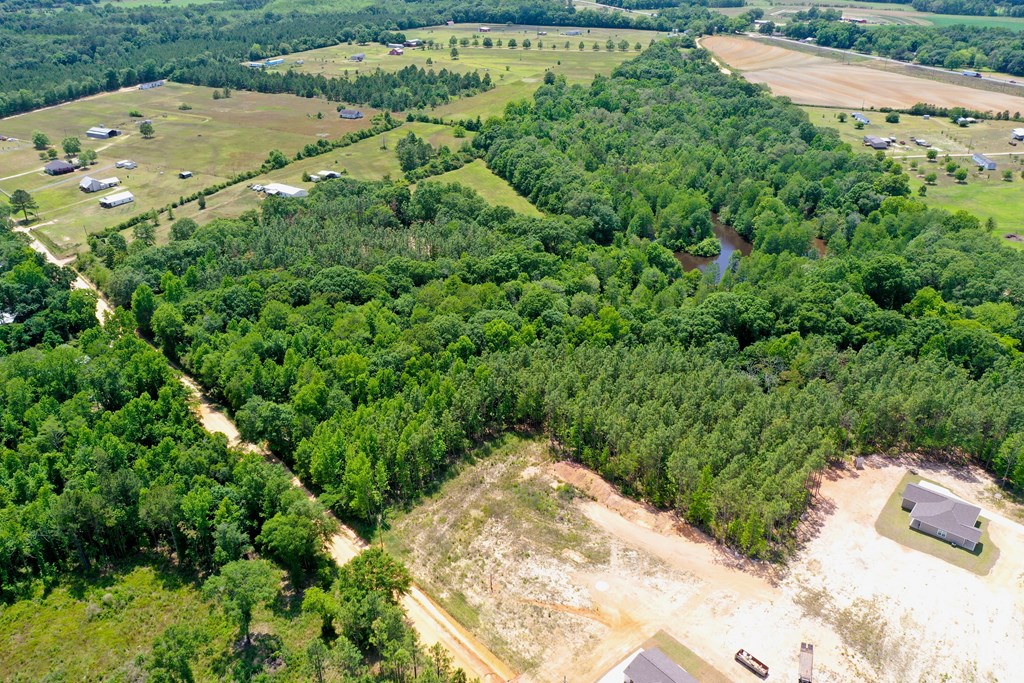 0 South Watford Road Slocomb, AL 36375 - Photo 6 of 14