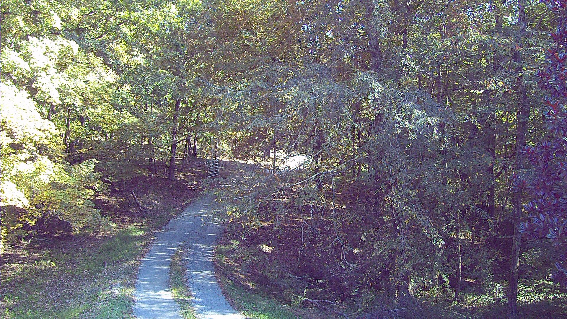 7323 Spencer Mill Road Fairview, TN 37062 - Photo 13 of 13