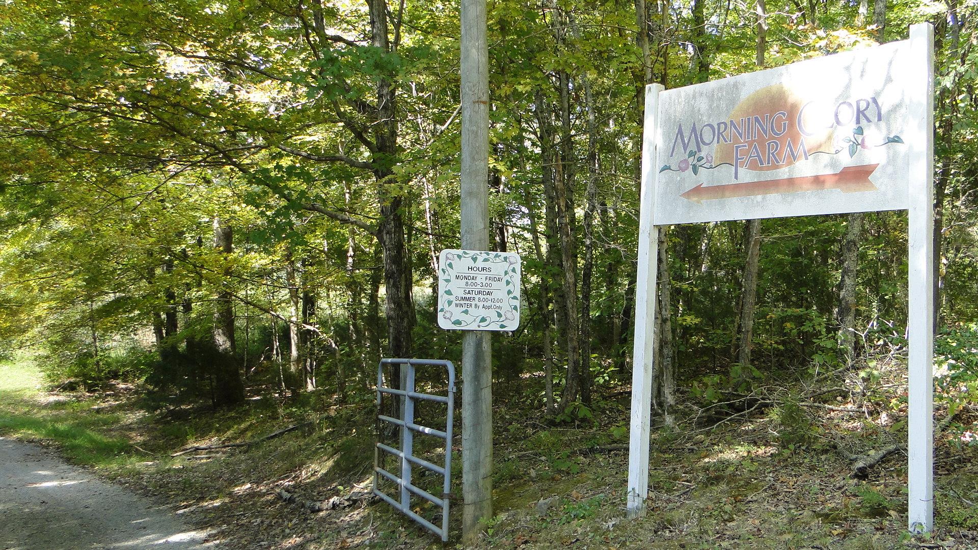 7323 Spencer Mill Road Fairview, TN 37062 - Photo 4 of 13