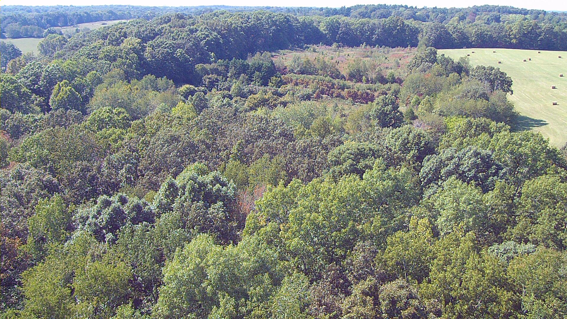 7323 Spencer Mill Road Fairview, TN 37062 - Photo 8 of 13