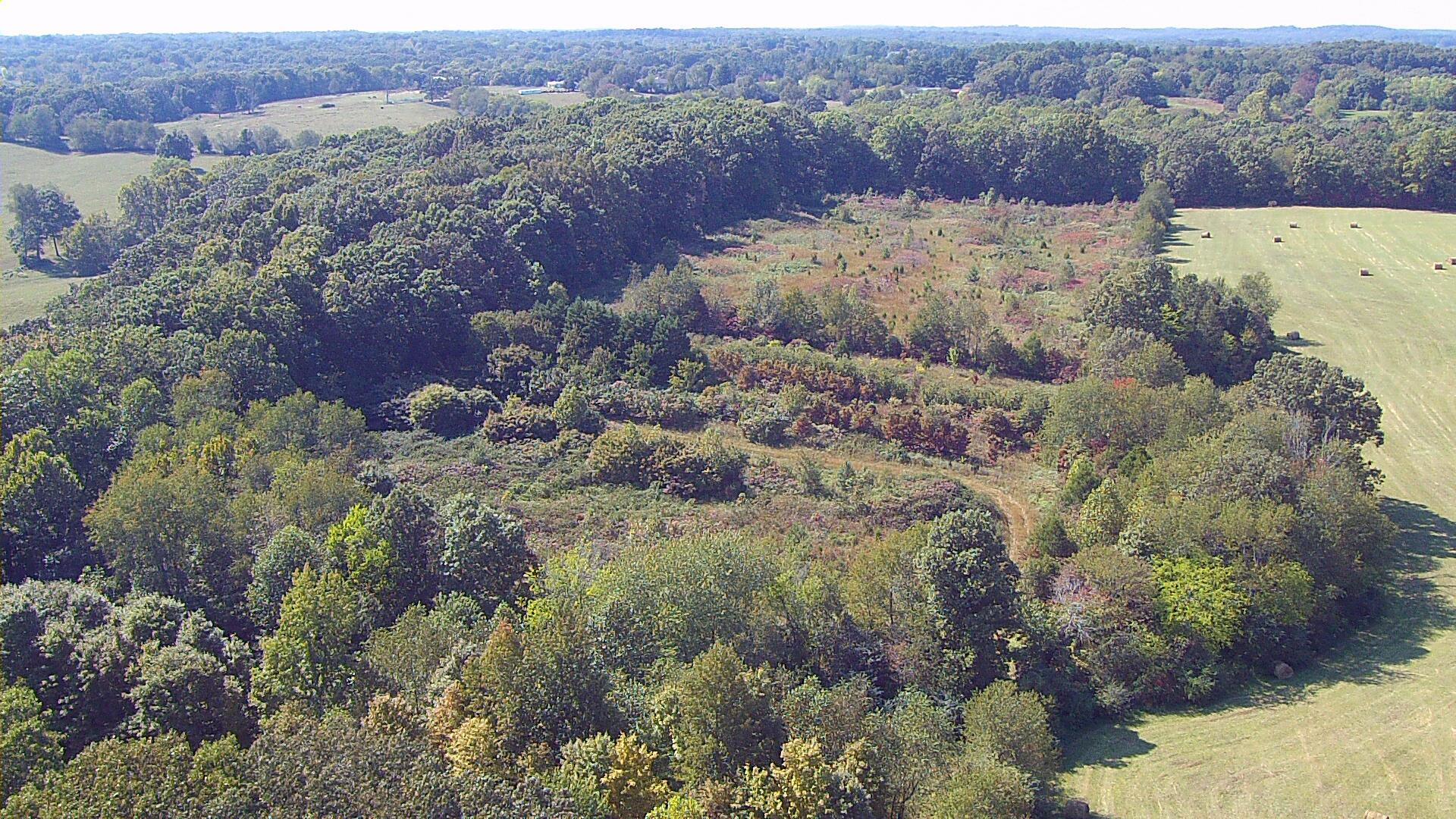 7323 Spencer Mill Road Fairview, TN 37062 - Photo 9 of 13