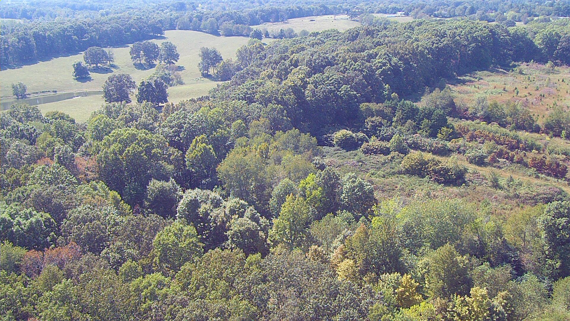 7323 Spencer Mill Road Fairview, TN 37062 - Photo 10 of 13