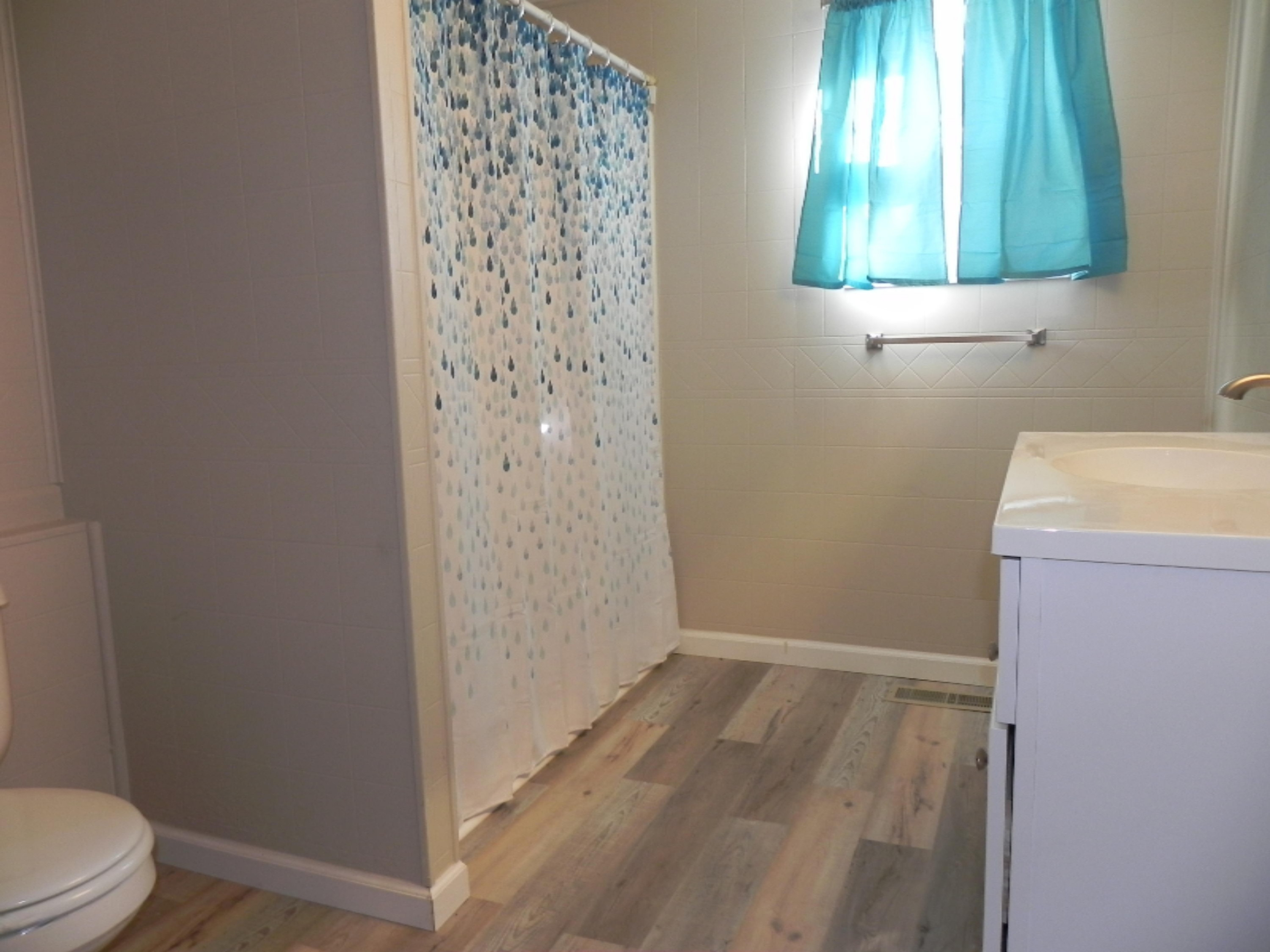 119 West St Marys Street Decatur, MI 49045 - Photo 15 of 25 DSCN6205