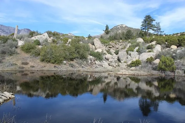a view of a lake in middle of forest