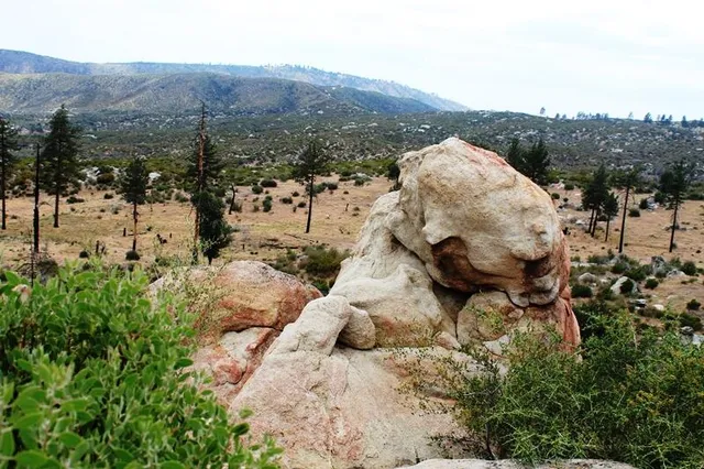 a view of outdoor space and city view