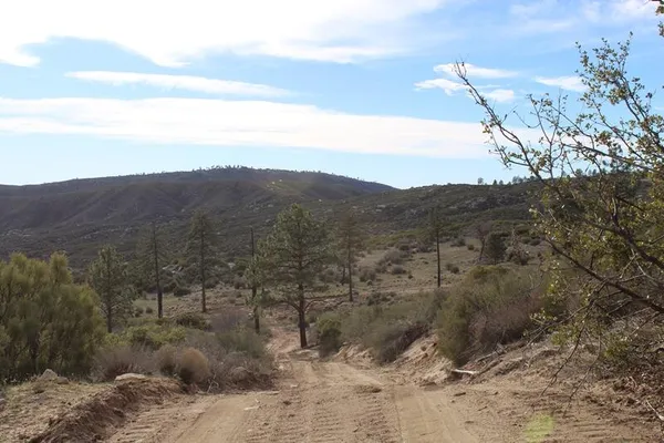 a view of a dry yard