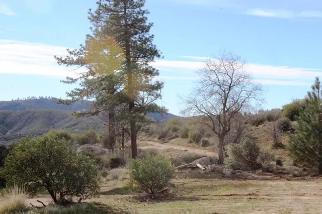 a view of mountain view with large trees