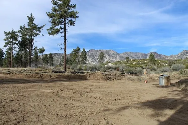 a view of a dry yard with trees