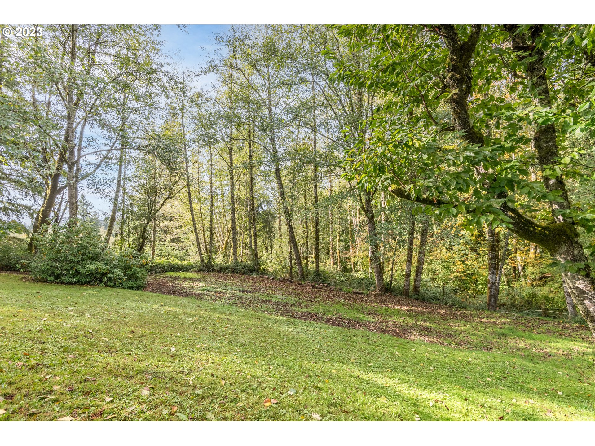 234 Walker Road Kelso, WA 98626 - Photo 6 of 35 a view of yard with trees