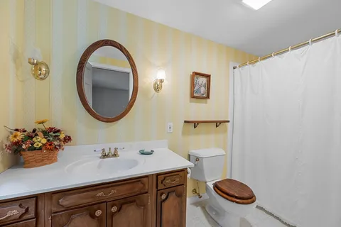 a bathroom with a sink a mirror and a toilet