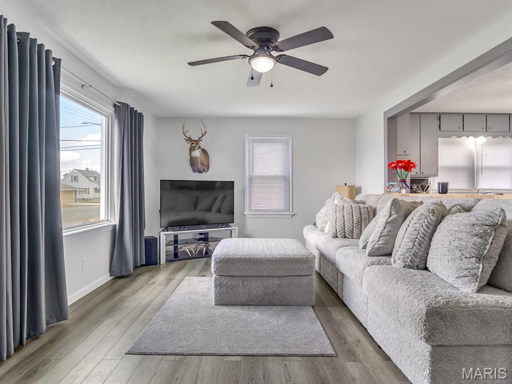 302 South East Street Pinckneyville, IL 62274 - Photo 5 of 15