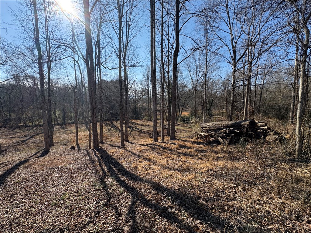 0 Abbott Lane Walhalla, SC 29691 - Photo 6 of 16 Lot