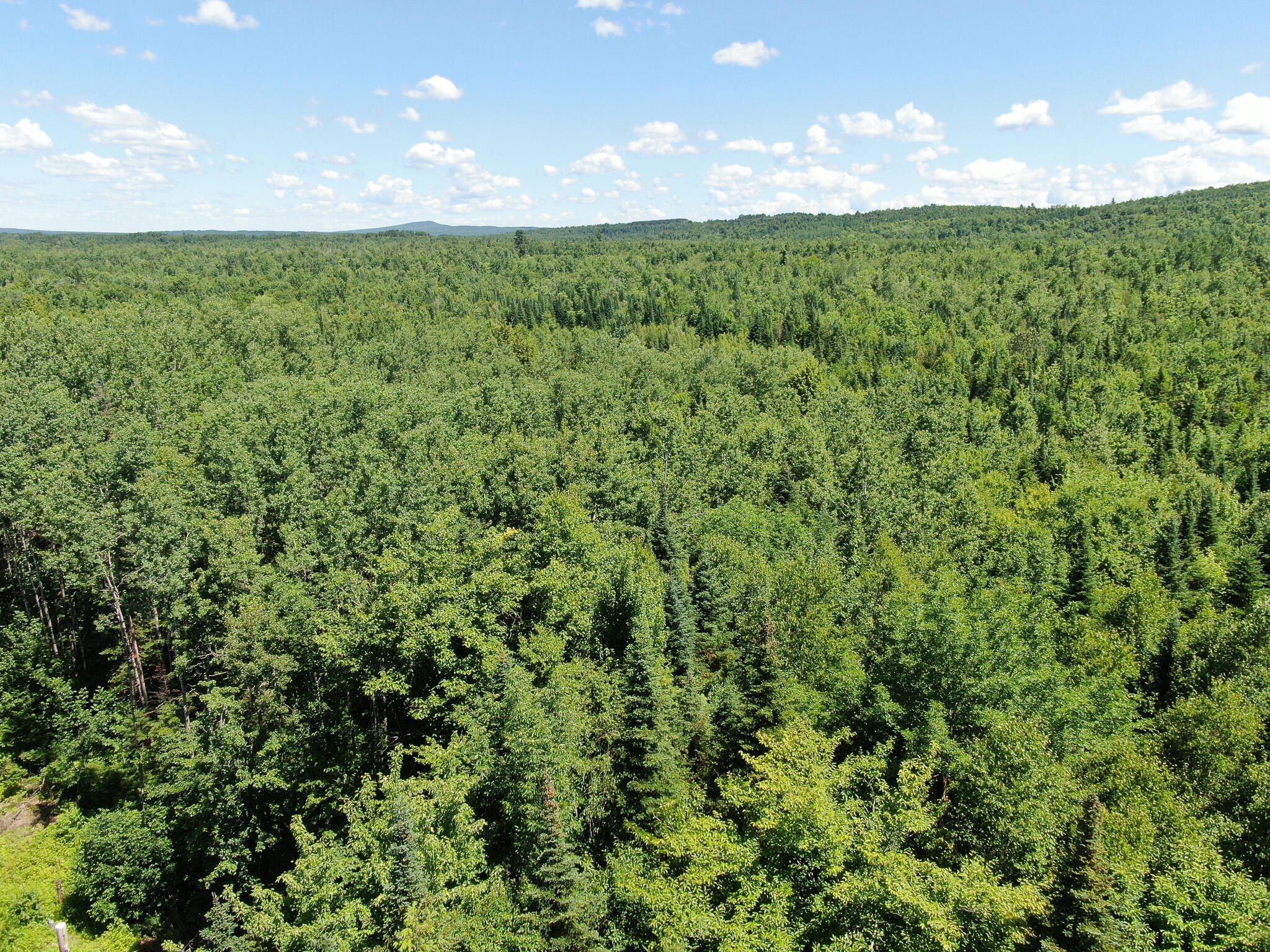 Lot 2 Woodland Ridge Road Danforth, ME 04424 - Photo 3 of 8