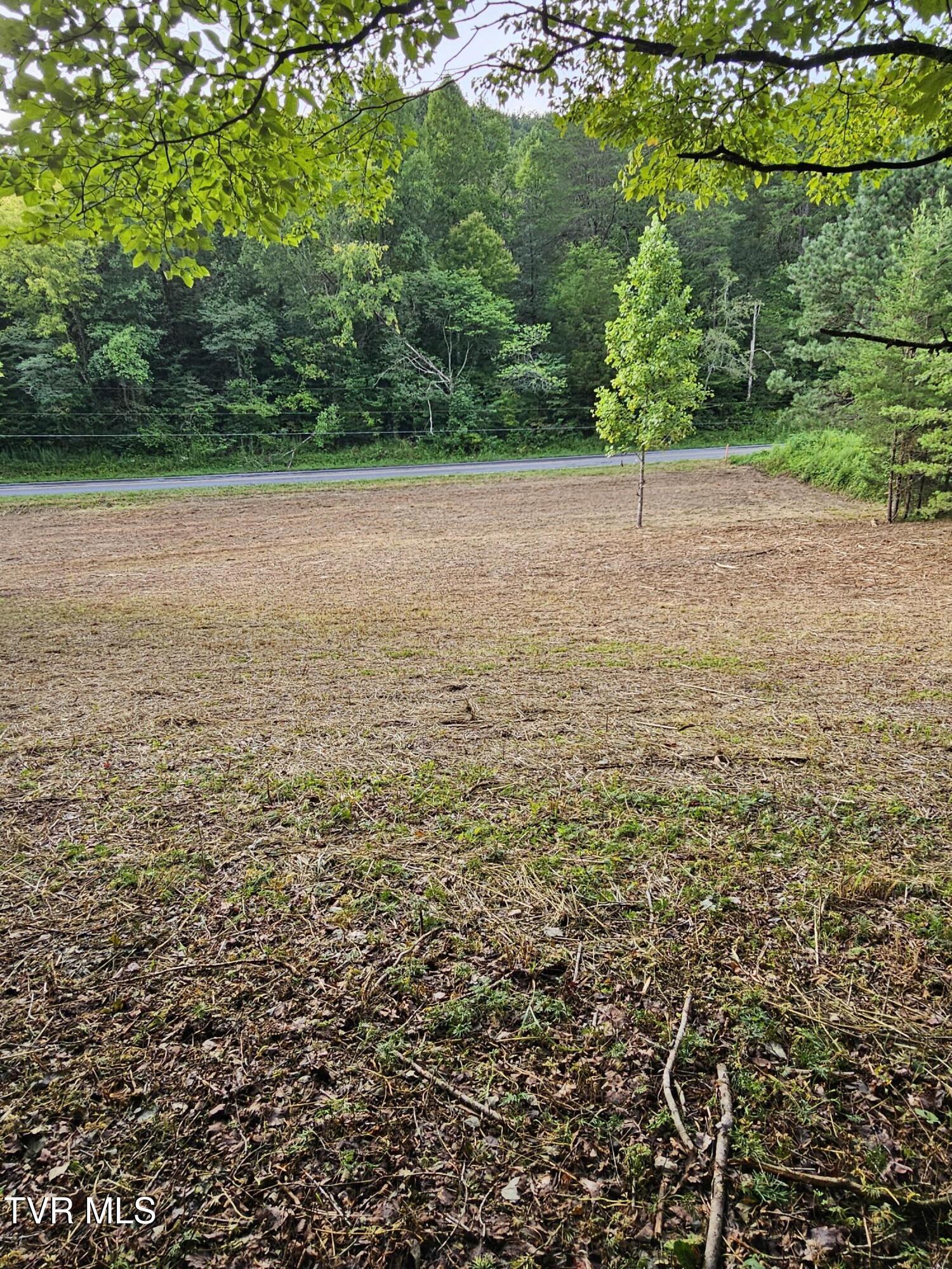 Tbd Caney Valley Road, Unit 1 Surgoinsville, TN 37873 - Photo 11 of 18 cc8