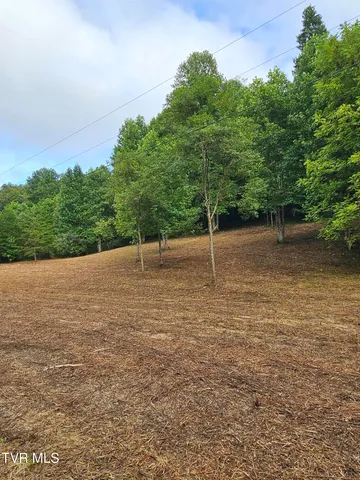 $43,000 | Tbd Caney Valley Road, Unit 1, Surgoinsville, TN 37873