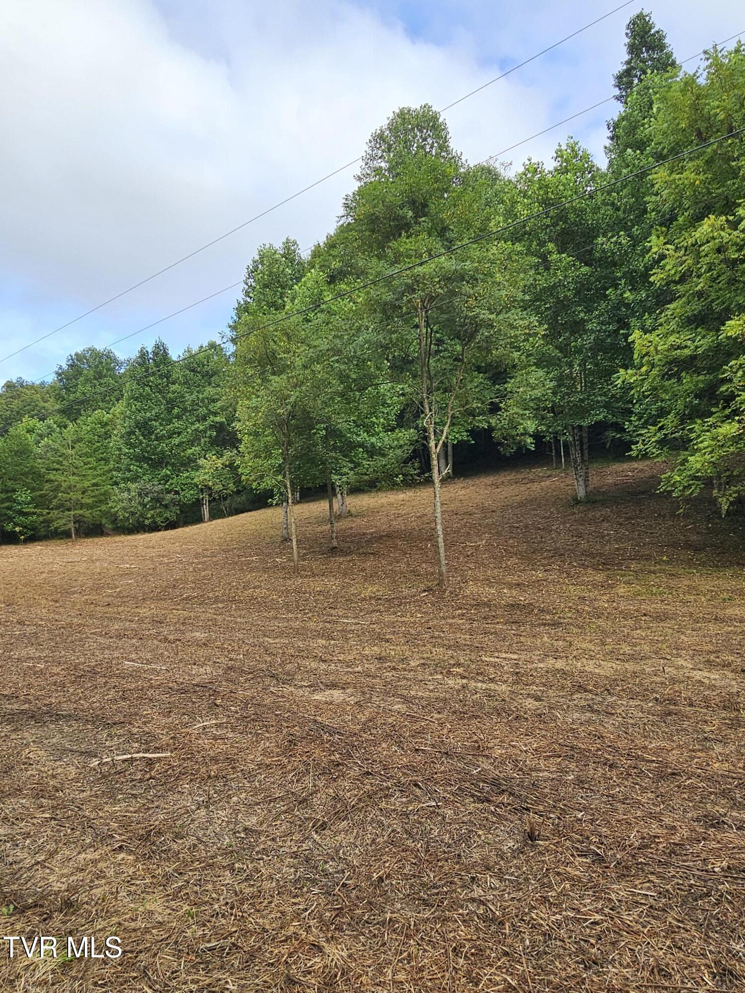 Tbd Caney Valley Road, Unit 1 Surgoinsville, TN 37873 - Photo 12 of 18 cc9