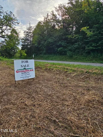 $43,000 | Tbd Caney Valley Road, Unit 1, Surgoinsville, TN 37873